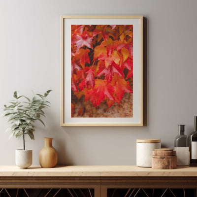 AUTUMN PRINTS