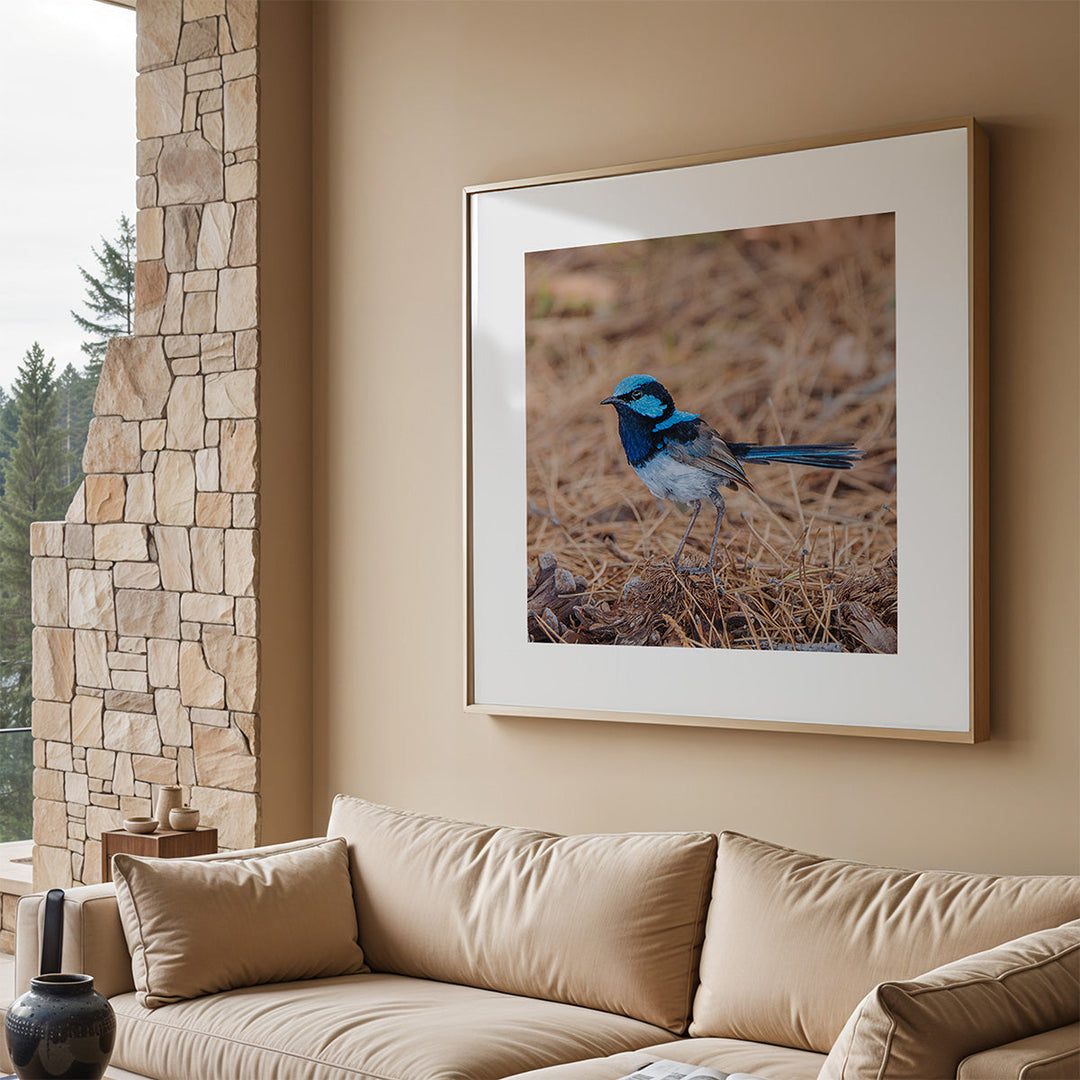 ANIMAL & BIRDS PRINTS