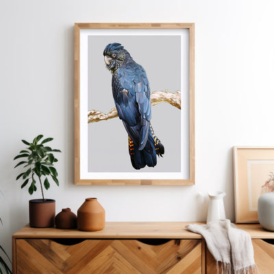 ANIMAL & BIRDS PRINTS