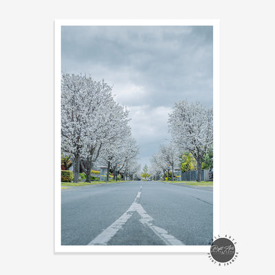 WHITE TREE ROAD