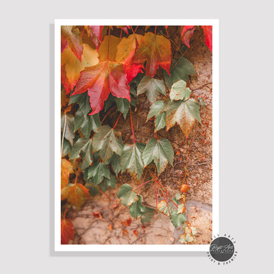 AUTUMN COLOR LEAVES I