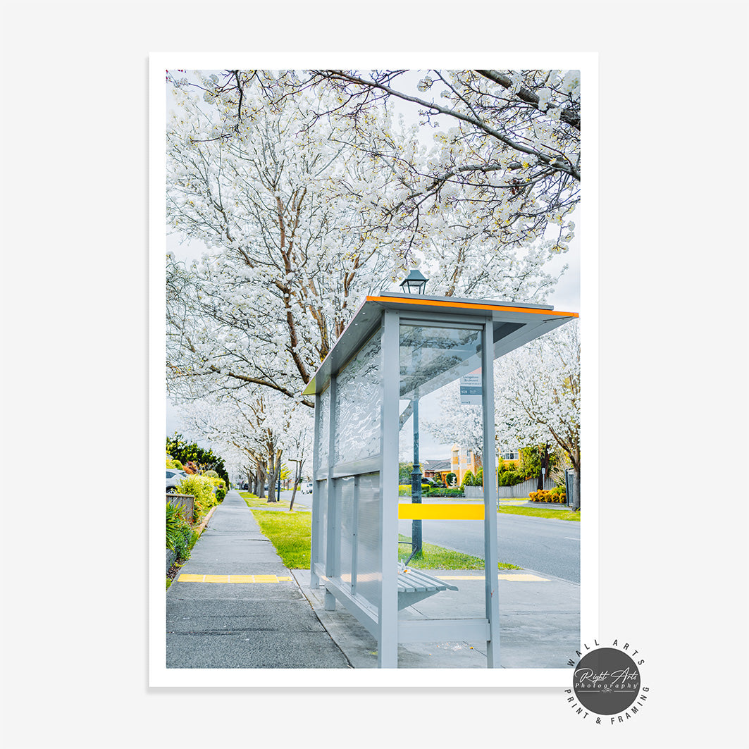 BUS STOP TREE