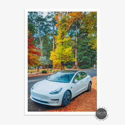 TESLA