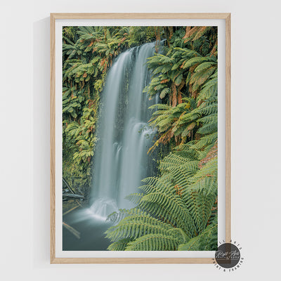 BEAUCHAMP FALLS I
