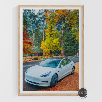 TESLA