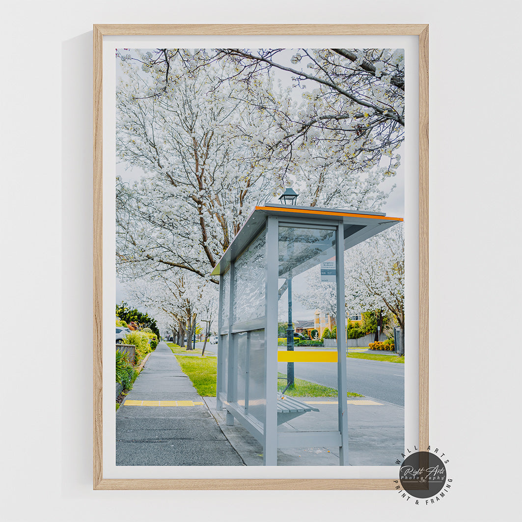 BUS STOP TREE