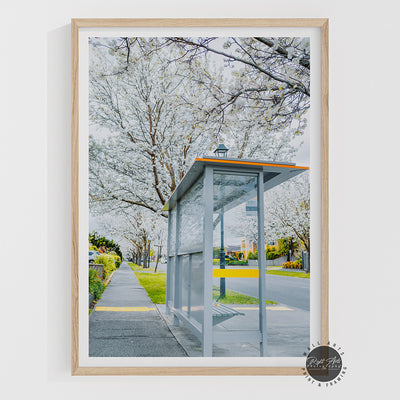 BUS STOP TREE