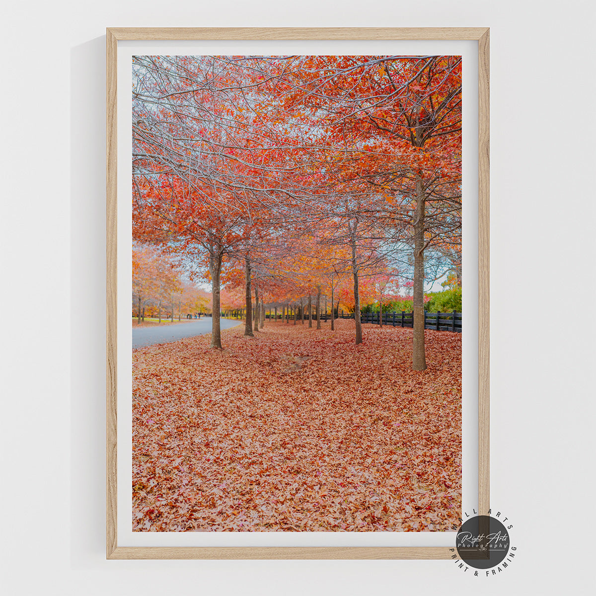 BEAUTIFUL AUTUMN TREES I