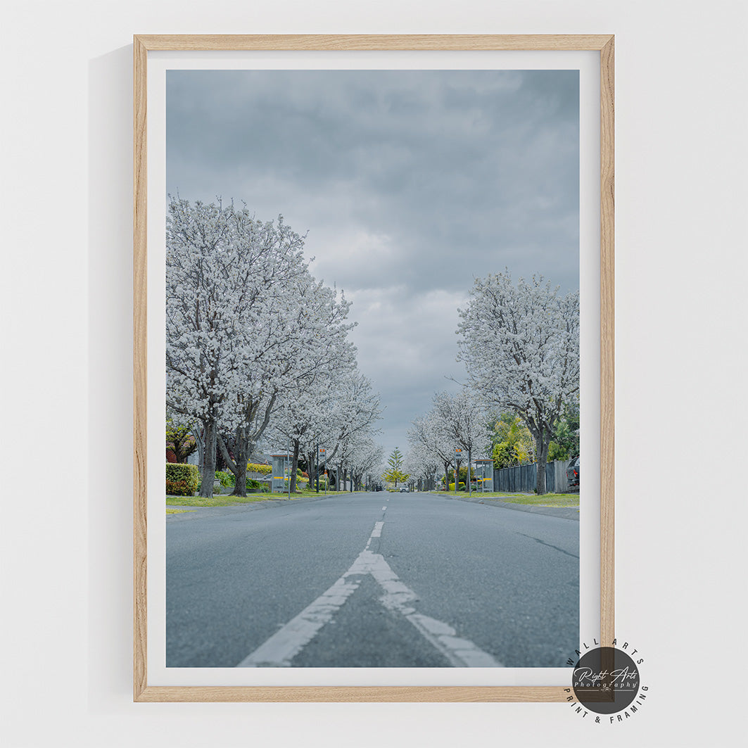 WHITE TREE ROAD