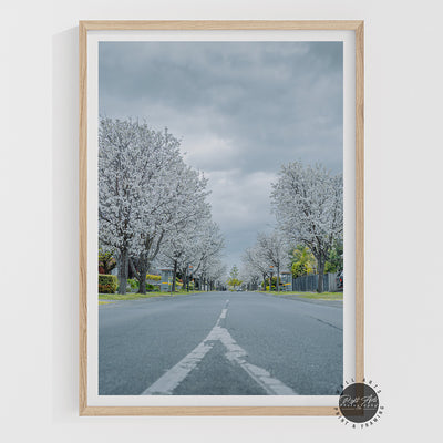 WHITE TREE ROAD