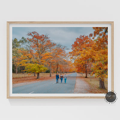 AUTUMN WALK