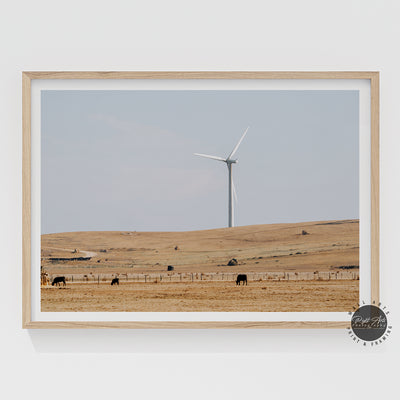 SINGLE WIND FAN II