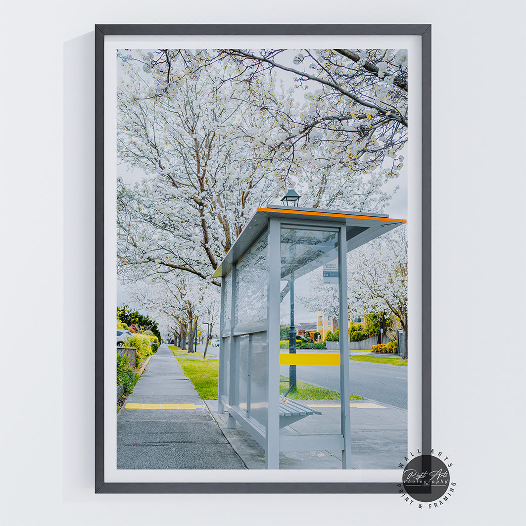 BUS STOP TREE