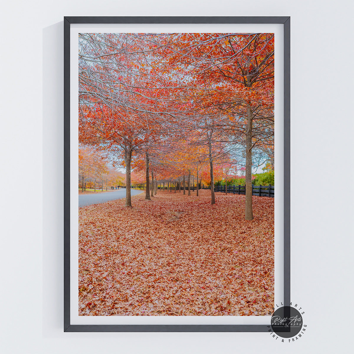 BEAUTIFUL AUTUMN TREES I