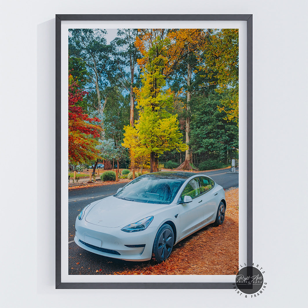 TESLA