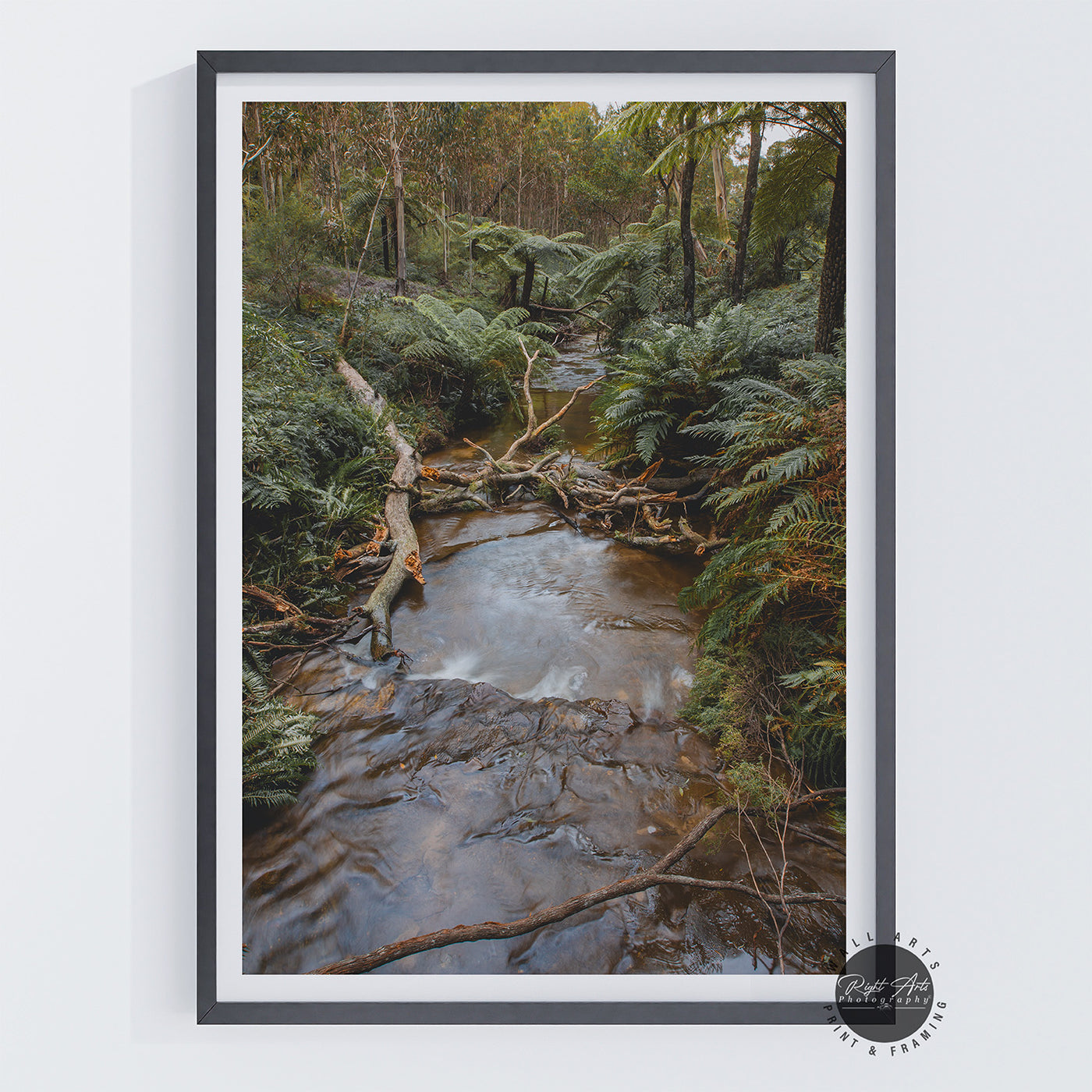 SYDNEY RAIN FOREST RIVER