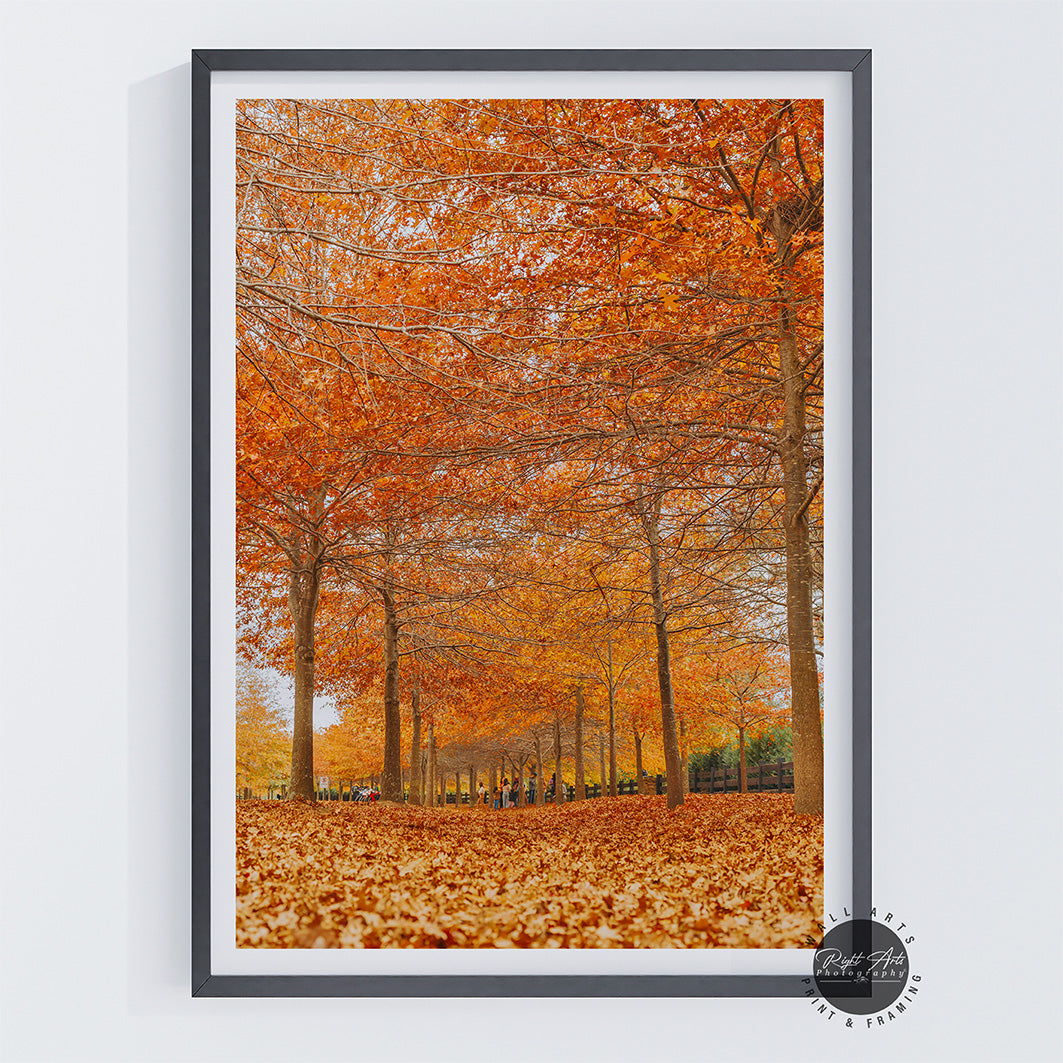 BEAUTIFUL AUTUMN TREES I