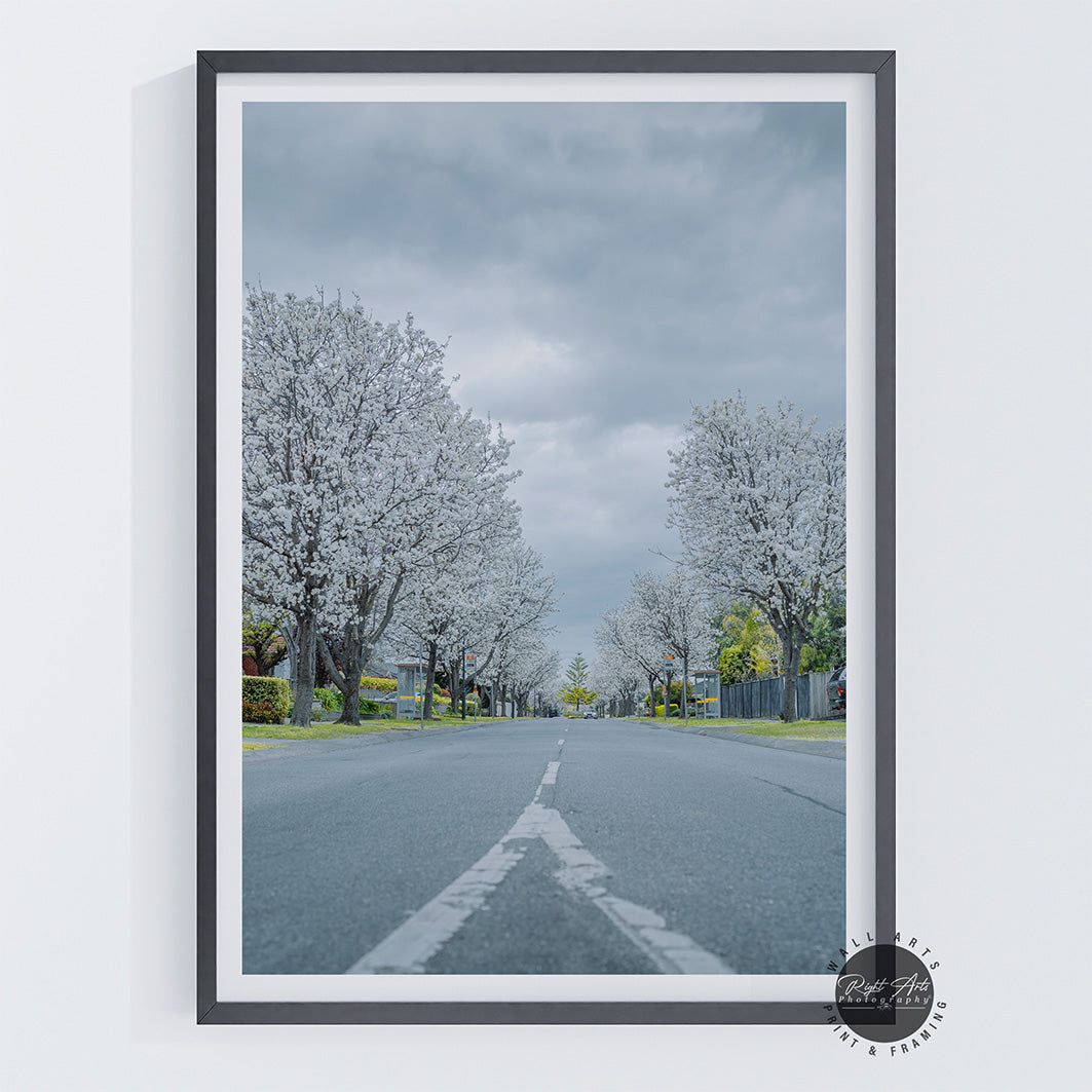 WHITE TREE ROAD