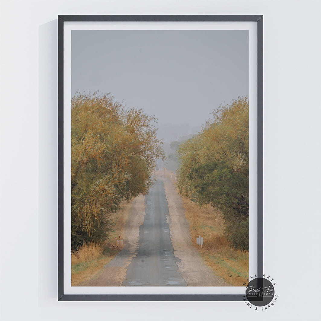 FOG COUNTRY ROAD