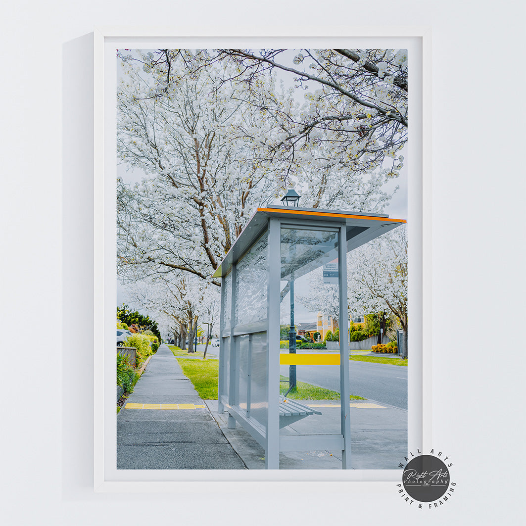 BUS STOP TREE