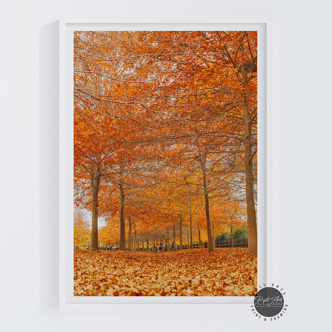 BEAUTIFUL AUTUMN TREES I