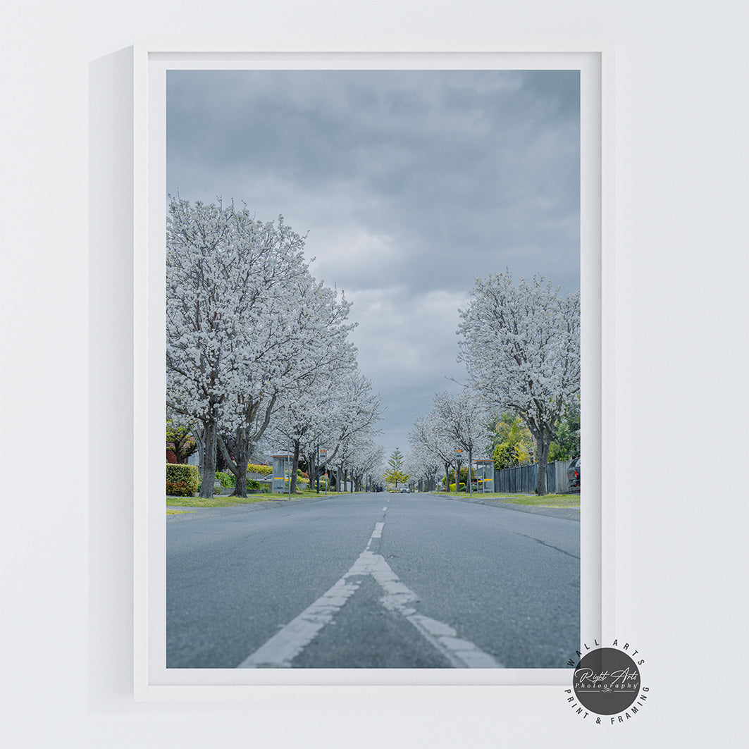 WHITE TREE ROAD
