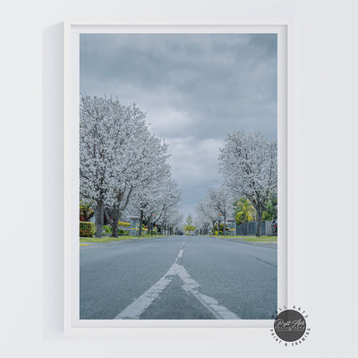 WHITE TREE ROAD
