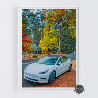 TESLA