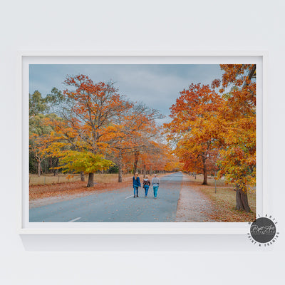 AUTUMN WALK