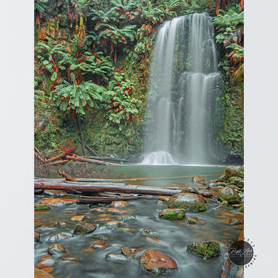 BEAUCHAMP FALL II