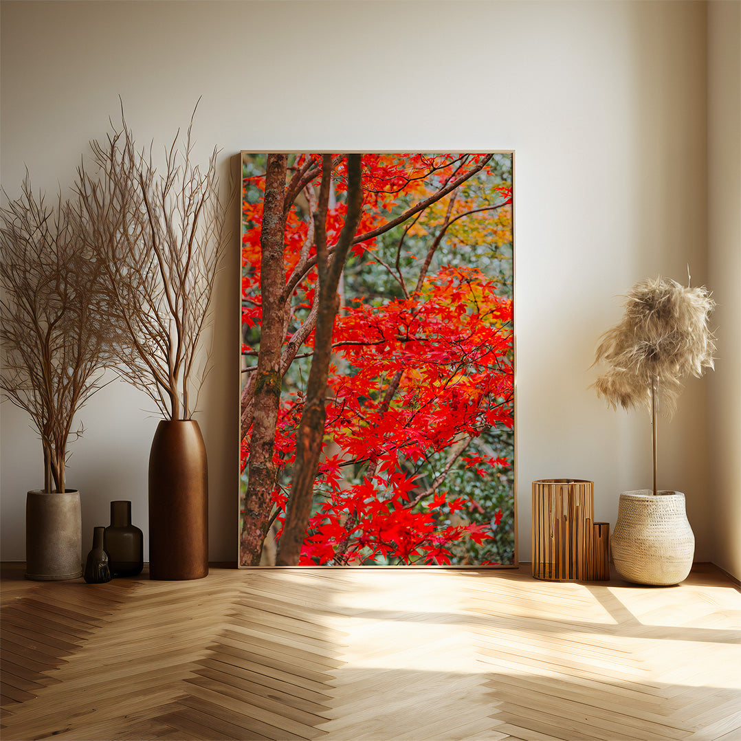 AUTUMN RED FALL TREE I