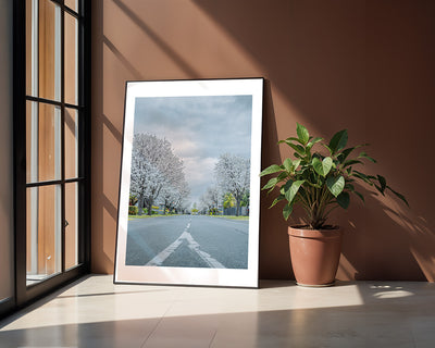 WHITE TREE ROAD