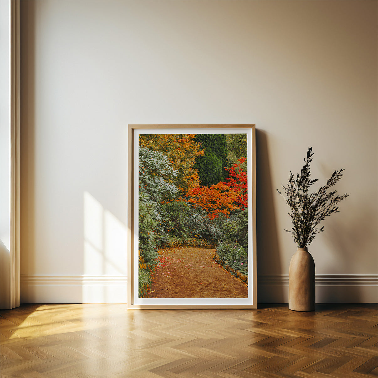 AUTUMN COLOR TREE PATHWAY