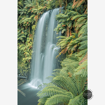 BEAUCHAMP FALLS I