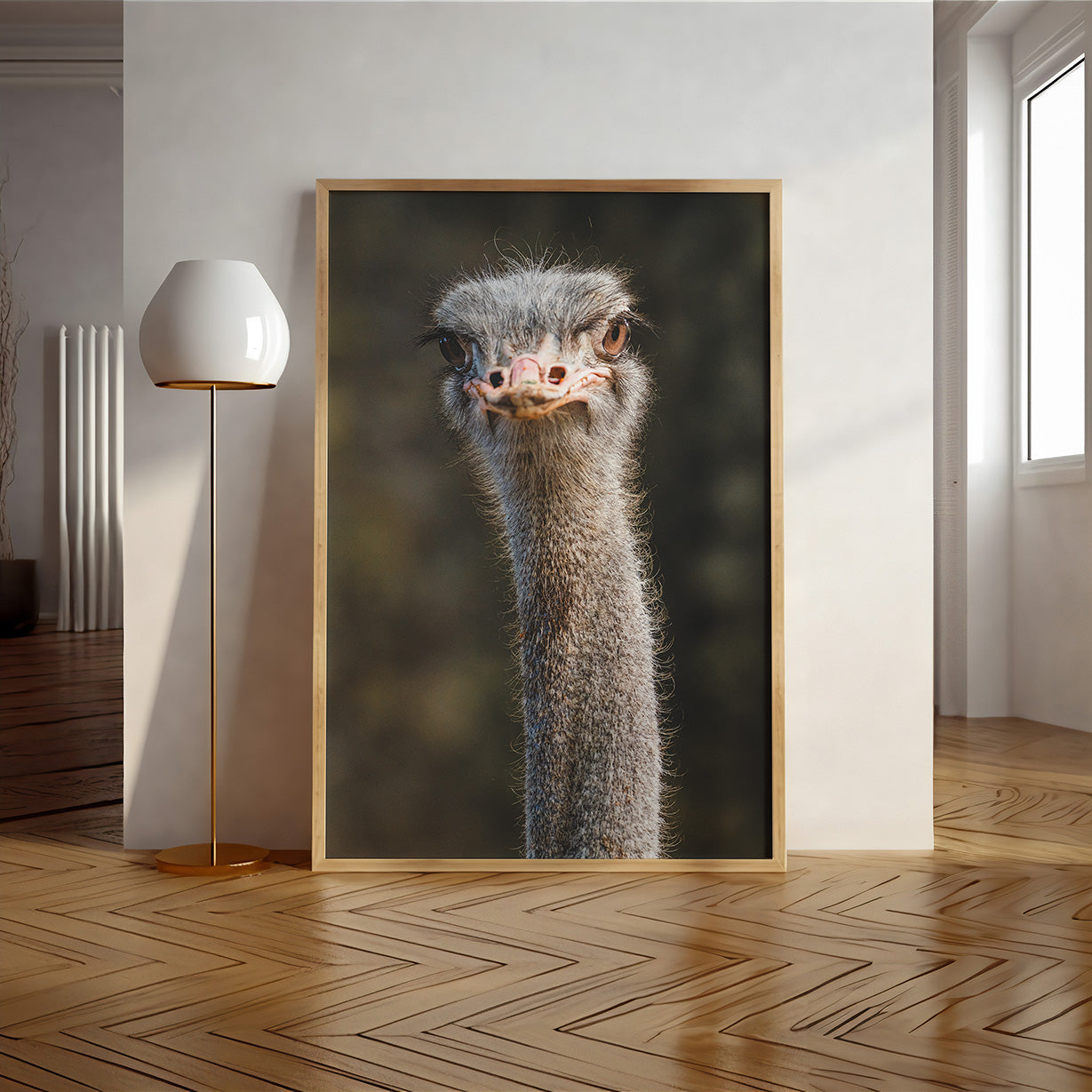 EMU HEAD